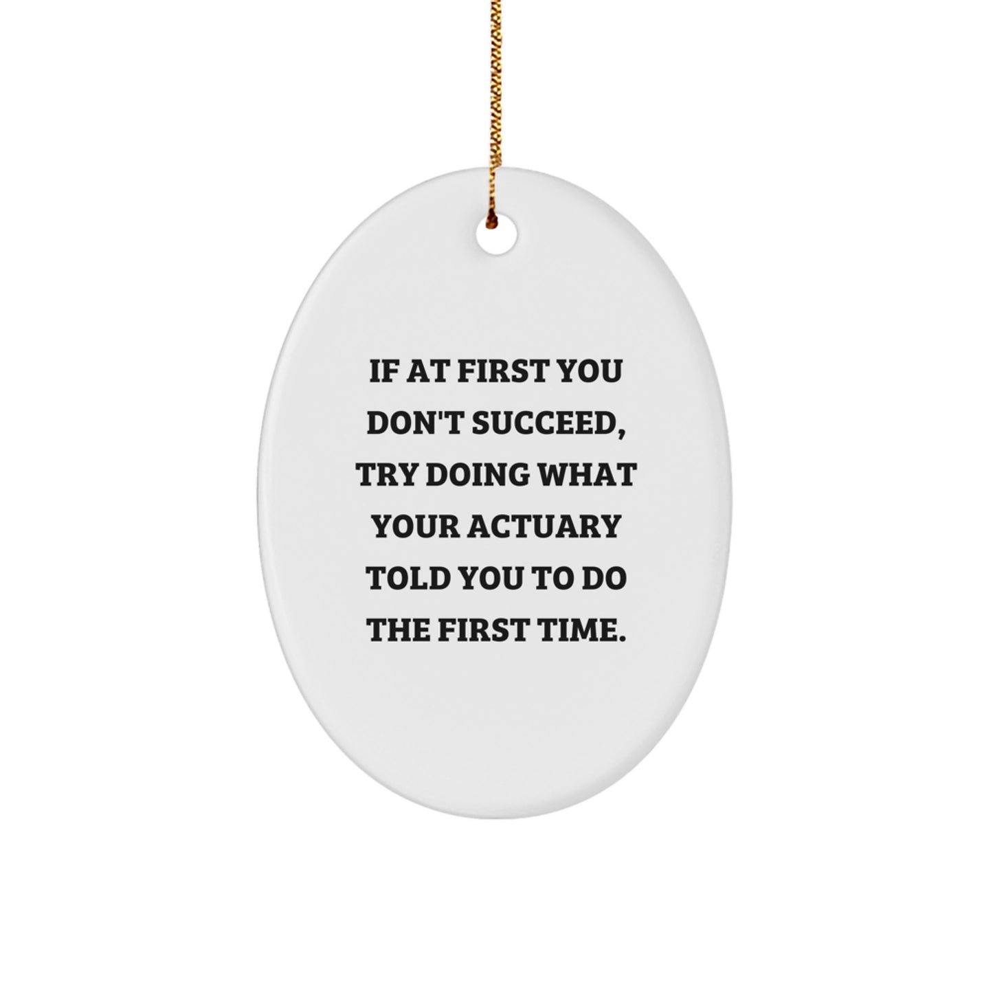 Funny Quote Actuary Gifts for Men, Oval Ornament Ideas from Friends for Christmas, If At First You Don't Succeed Try Doing What Your Actuary Told You - Image 1