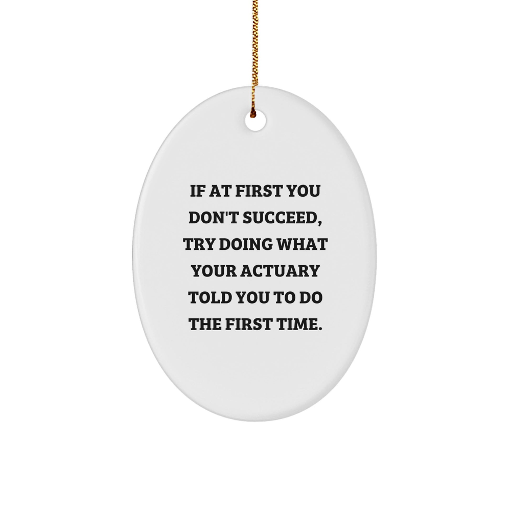 Funny Quote Actuary Gifts for Men, Oval Ornament Ideas from Friends for Christmas, If At First You Don't Succeed Try Doing What Your Actuary Told You - Image 1