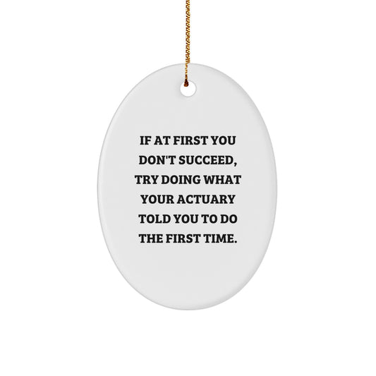 Funny Quote Actuary Gifts for Men, Oval Ornament Ideas from Friends for Christmas, If At First You Don't Succeed Try Doing What Your Actuary Told You - Image 1