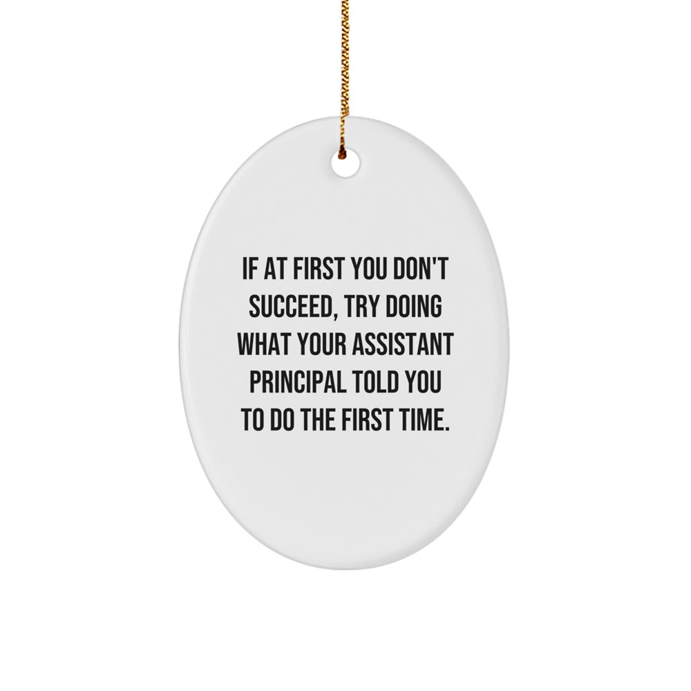 Funny Assistant Principal Gifts for Christmas - Oval Ornament with Inspirational Quote, Gifts from Friends and Family to Assistant Principal, Oval Shaped Decorations - Image 1