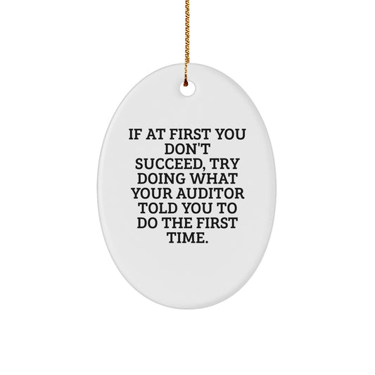 Funny Auditor Gift Oval Ornament, White, Oval Shaped, Gifts from Men for Auditor Friends, Funny Christmas Unique Gifts for Auditor - Image 1