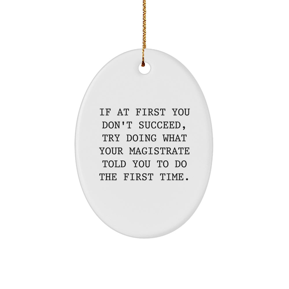 Funny Magistrate Gifts from Friends, Oval Ornament, 'If At First You Don't Succeed, Try Doing What Your Magistrate Told You To Do The First Time', Christmas Unique Gifts for Magistrate - Image 1