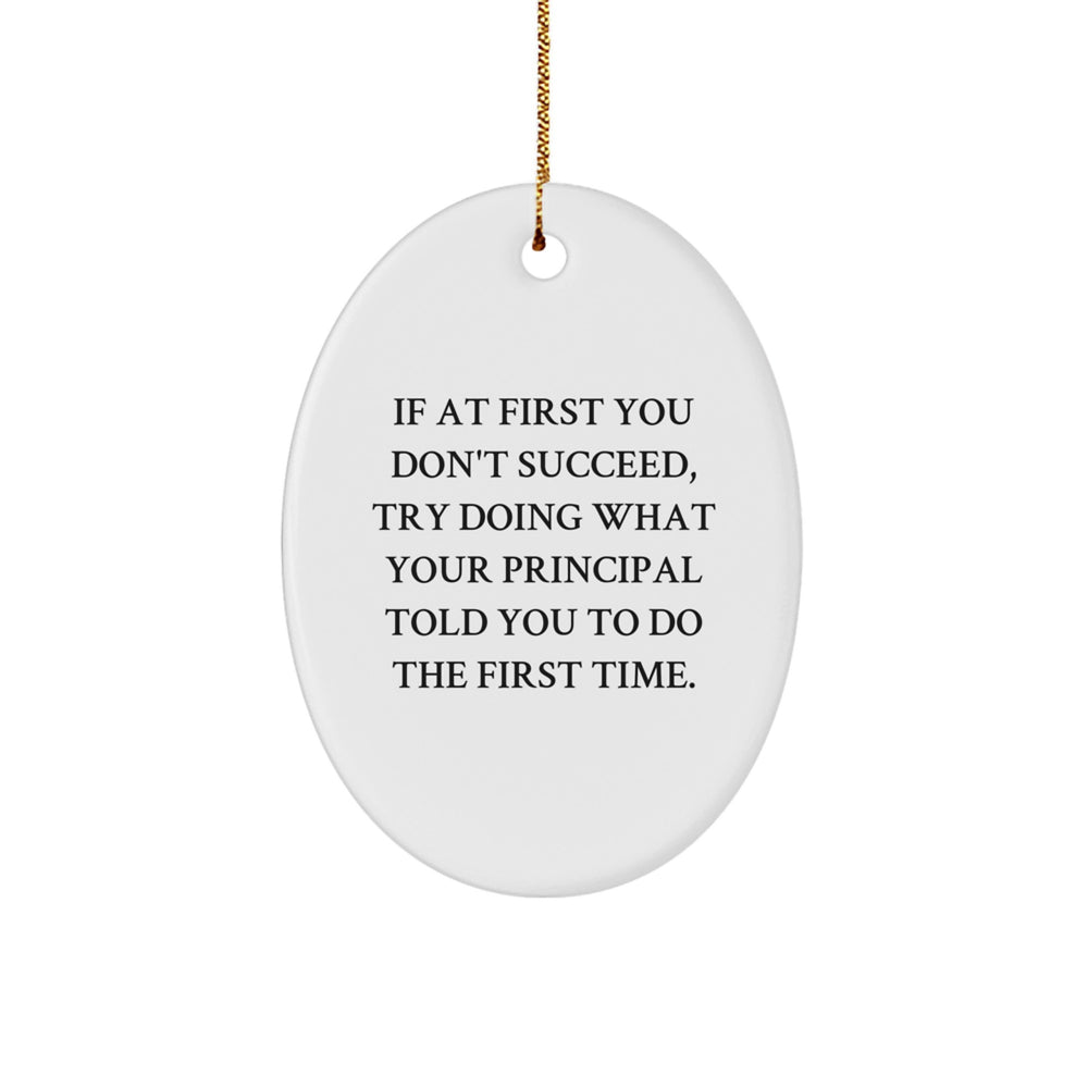 Funny Principal Gifts Oval Ornament If At First You Don't Succeed, Try Doing What Your Principal Told You To Do The First Time. for Christmas, Gifts from Men to Principal - Image 1