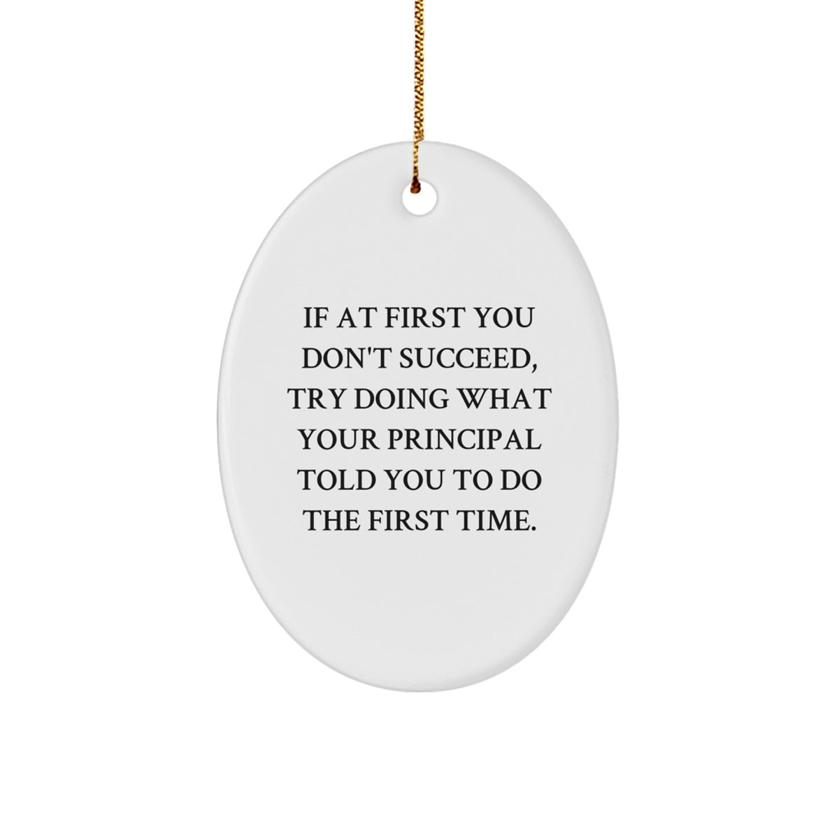 Funny Principal Gifts Oval Ornament If At First You Don't Succeed, Try Doing What Your Principal Told You To Do The First Time. for Christmas, Gifts from Men to Principal - Image 1
