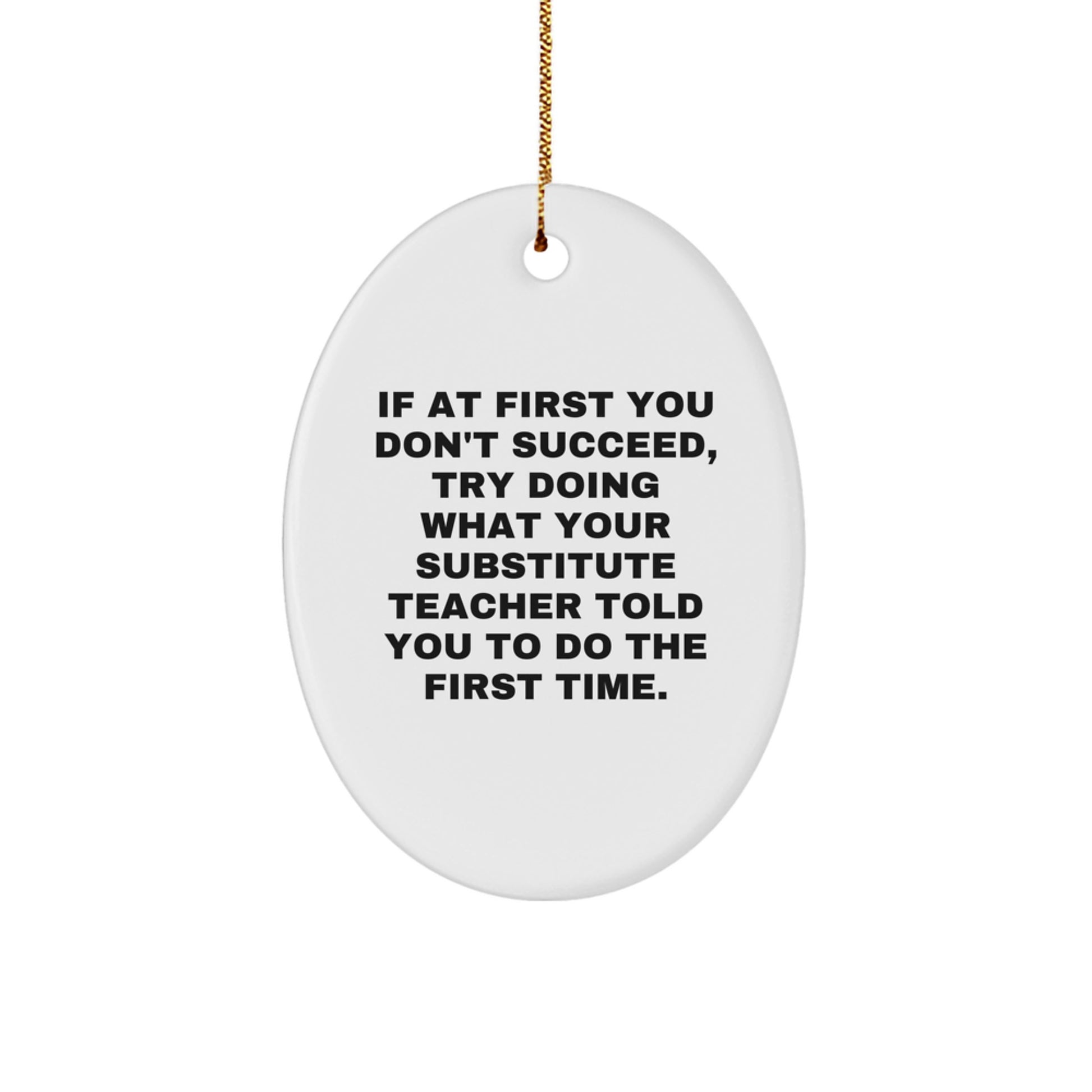 Funny Substitute Teacher Gifts from Friends, Oval Ornament, If at First You Don't Succeed Try Doing What Your Substitute Teacher Told You To Do The First Time - Image 1