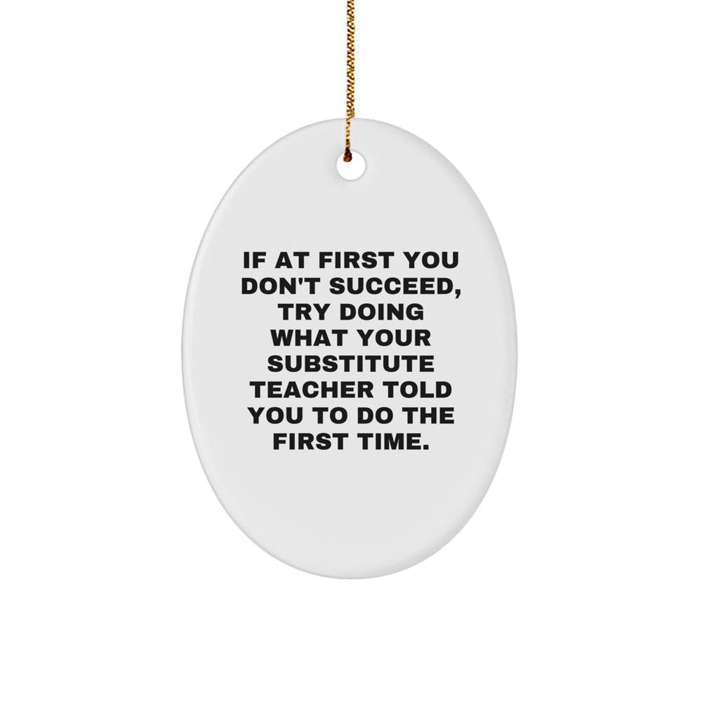 Funny Substitute Teacher Gifts from Friends, Oval Ornament, If at First You Don't Succeed Try Doing What Your Substitute Teacher Told You To Do The First Time - Image 1