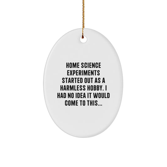 Funny Science Experiments Gifts for Home Science Enthusiasts, Oval Ornament for Christmas, 'Home Science Experiments Started Out As A Harmless Hobby' MDF Decor - Image 1