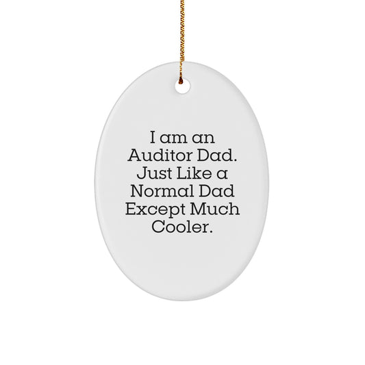 Funny Auditor Dad Oval Ornament Gifts from Men to Friends for Christmas - Image 1