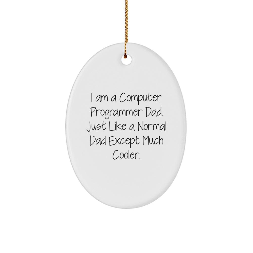 Computer Programmer Dad Gifts for Men Oval Ornament Funny Quote, Oval Shaped, White Color, Perfect for Christmas Unique Gifts from Family - Image 1