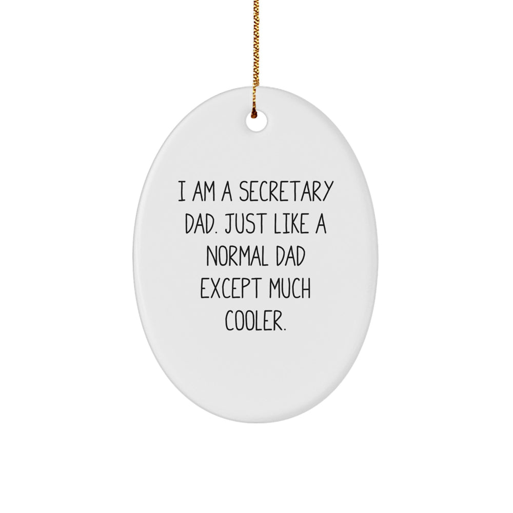 Funny Secretary Dad Oval Ornament Gifts from Dad for Secretary at Christmas Unique - Image 1