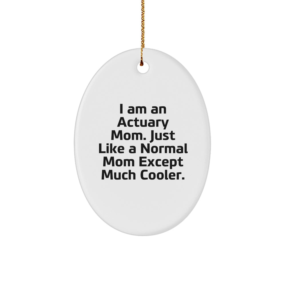 Actuary Mom's Special Gift for Actuary Friends - Oval Ornament, Gifts from Mom for Actuary, Funny Quote - Image 1