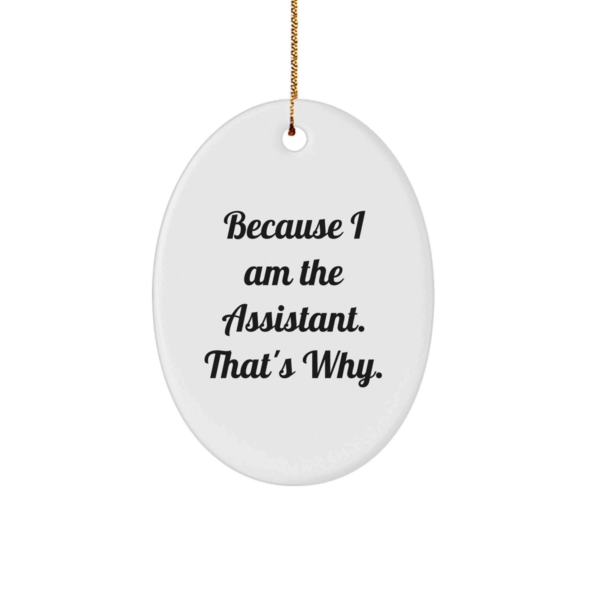 Funny Assistant Oval Ornament Gifts from Men to Friends at Christmas - Image 1