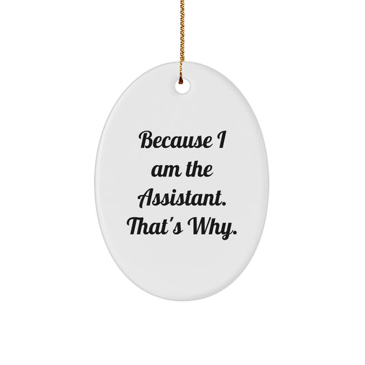 Funny Assistant Oval Ornament Gifts from Men to Friends at Christmas - Image 1