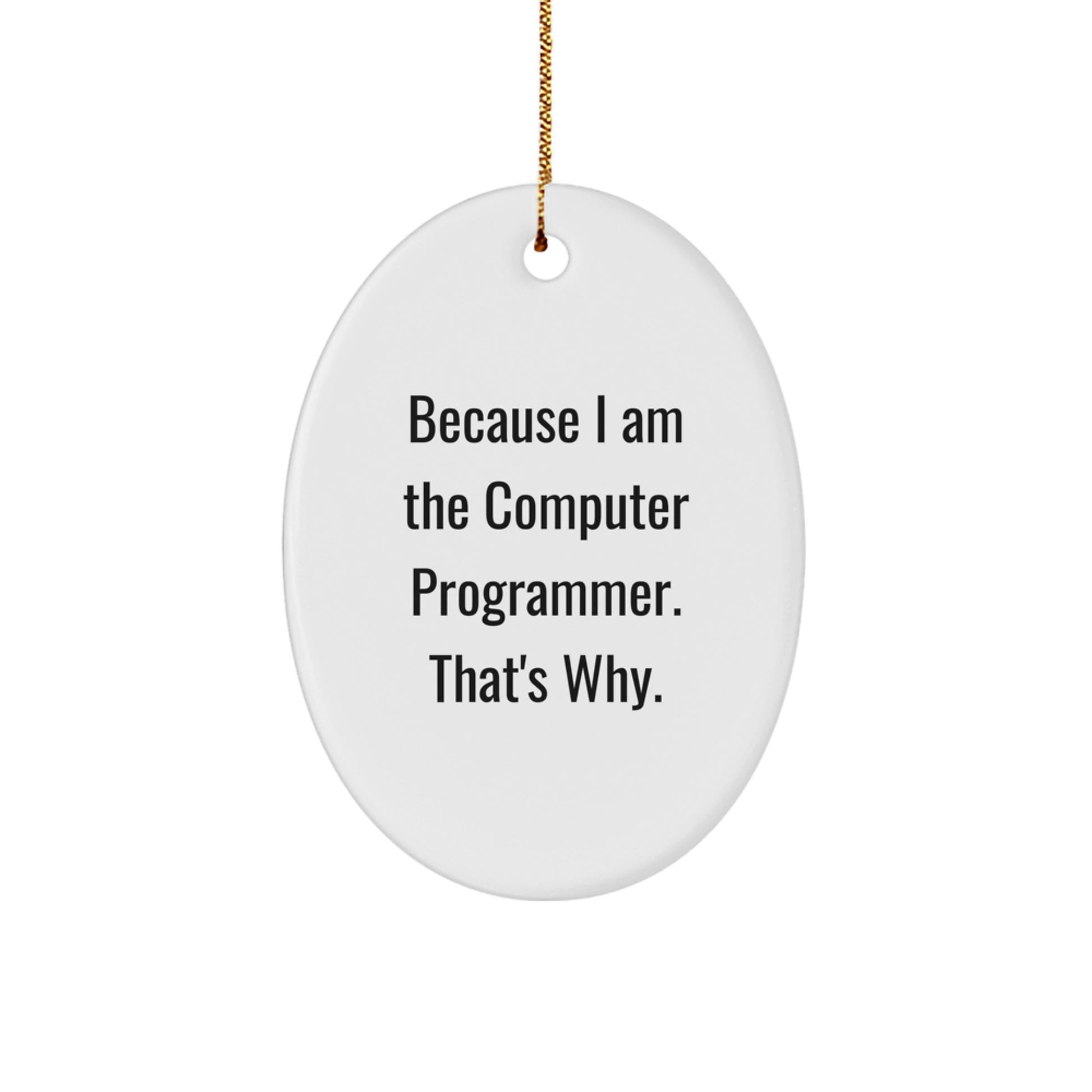 Funny Computer Programmer Oval Ornament Gifts from Friends, Gifts for Computer Programmer, Christmas Unique Ornaments with Inspirational Quote Because I Am The Computer Programmer That's Why. - Image 1