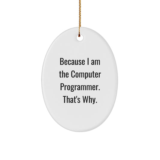 Funny Computer Programmer Oval Ornament Gifts from Friends, Gifts for Computer Programmer, Christmas Unique Ornaments with Inspirational Quote Because I Am The Computer Programmer That's Why. - Image 1