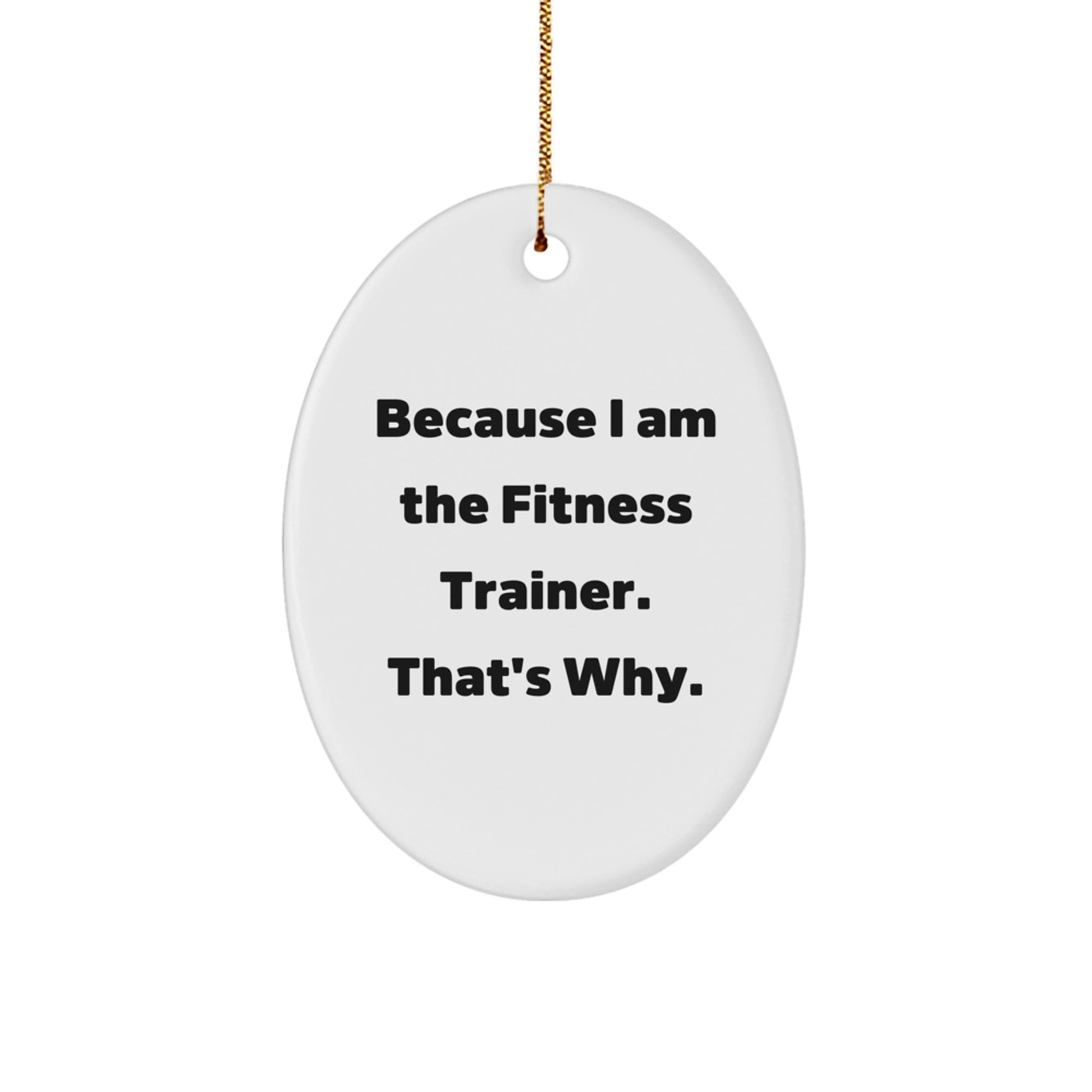Funny Fitness Trainer Gifts from Men to Women Christmas Unique Oval Ornaments Because I Am The Fitness Trainer That's Why - Image 1