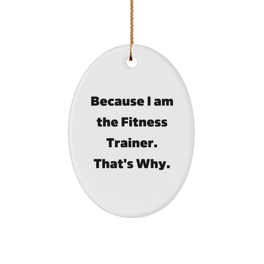 Funny Fitness Trainer Gifts from Men to Women Christmas Unique Oval Ornaments Because I Am The Fitness Trainer That's Why - Image 1