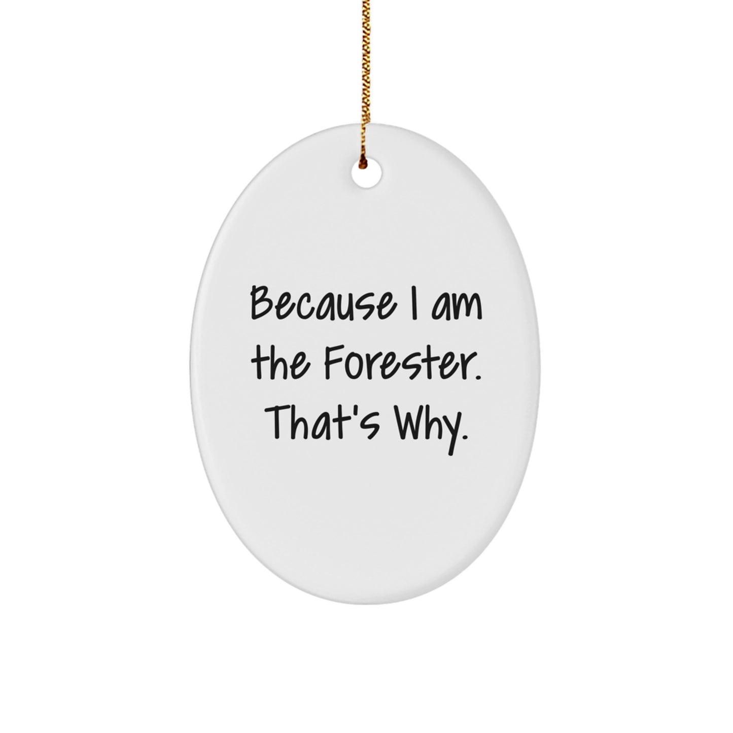 Funny Forester Christmas Oval Ornament Gifts from Men to Forester Friends - Image 1