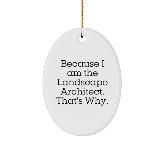 Funny Landscape Architect Gifts from Men for Friends - Oval Ornament, Christmas Unique Decoration - Image 1