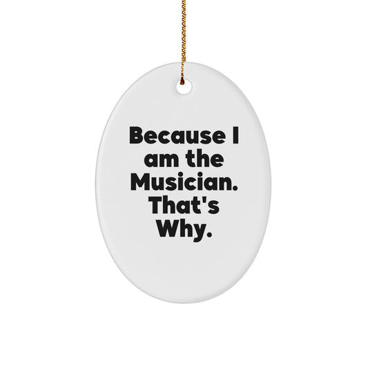 Funny Musician Oval Ornament Gifts from Friends for Christmas Unique Musician - Image 1
