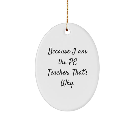 Funny PE Teacher Oval Ornament Gifts for Men, Women, Friends, Coworkers, Family - Because I Am The Pe Teacher. That's Why. Christmas Unique Gifts - Image 1