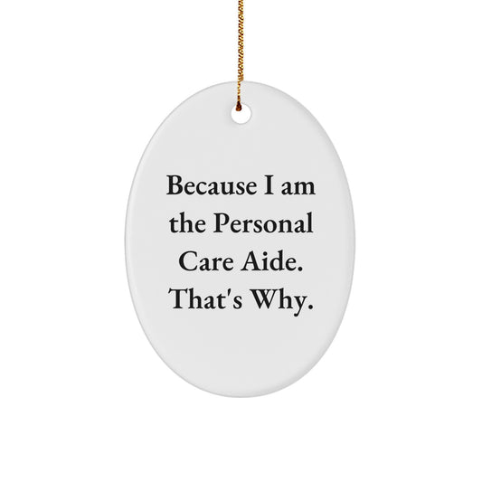 Funny Personal Care Aide Oval Ornament Gifts from Family to Christmas Unique Gifts for Personal Care Aide - Image 1