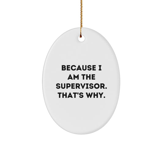 Funny Supervisor Oval Ornament Gifts from Men to Supervisor at Christmas Unique Gifts - Image 1