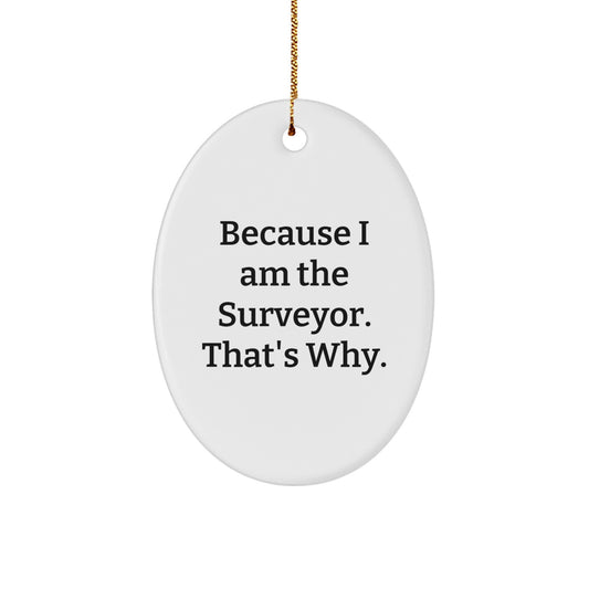 Funny Surveyor Gifts for Men, Oval Ornament Because I Am The Surveyor, That's Why, Unique Christmas Unique Gifts from Friends to Family - Image 1