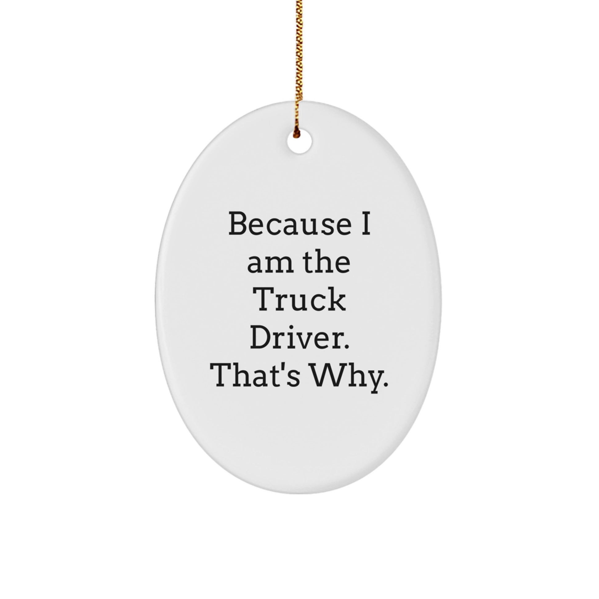 Funny Truck Driver Oval Ornament Gifts from Family for Men at Christmas - Image 1