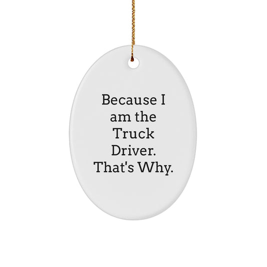 Funny Truck Driver Oval Ornament Gifts from Family for Men at Christmas - Image 1