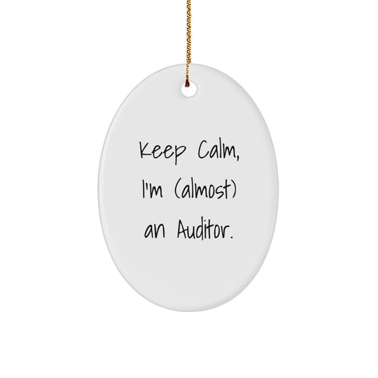 Funny Auditor Oval Ornament Gifts from Men to Friends, Christmas Unique Gifts - Image 1