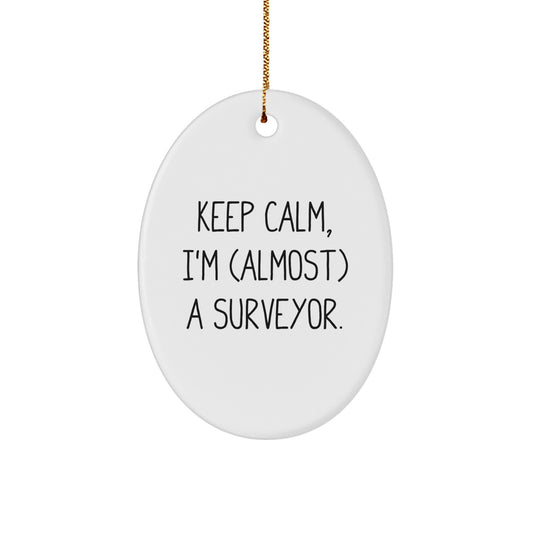 Funny Surveyor Gifts from Men, Unique Christmas Unique Gifts for Surveyor Friends, Oval Ornament Keepsake - Image 1