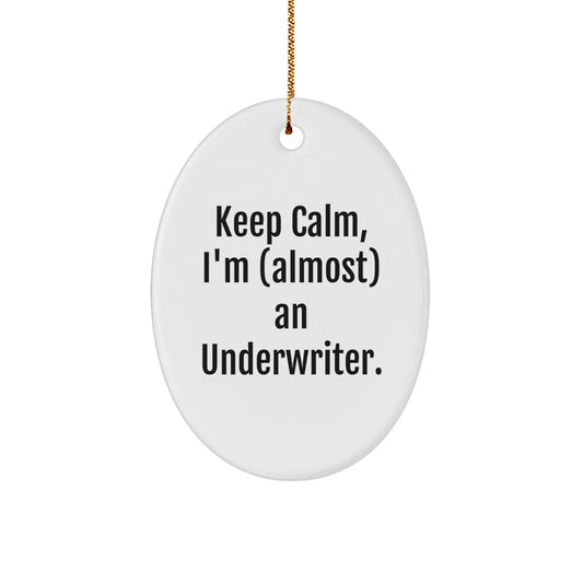 Funny Underwriter Gifts for Men, Women, or Friends - Oval Ornament Quote 'Keep Calm, I'm (almost) An Underwriter.' - Christmas Unique Gifts from Family or Coworkers - Image 1