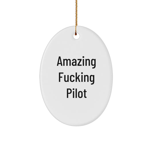 Funny Pilot Oval Ornament Gifts for Men Friends Family - Christmas Unique Presents from Men to Pilot - Image 1
