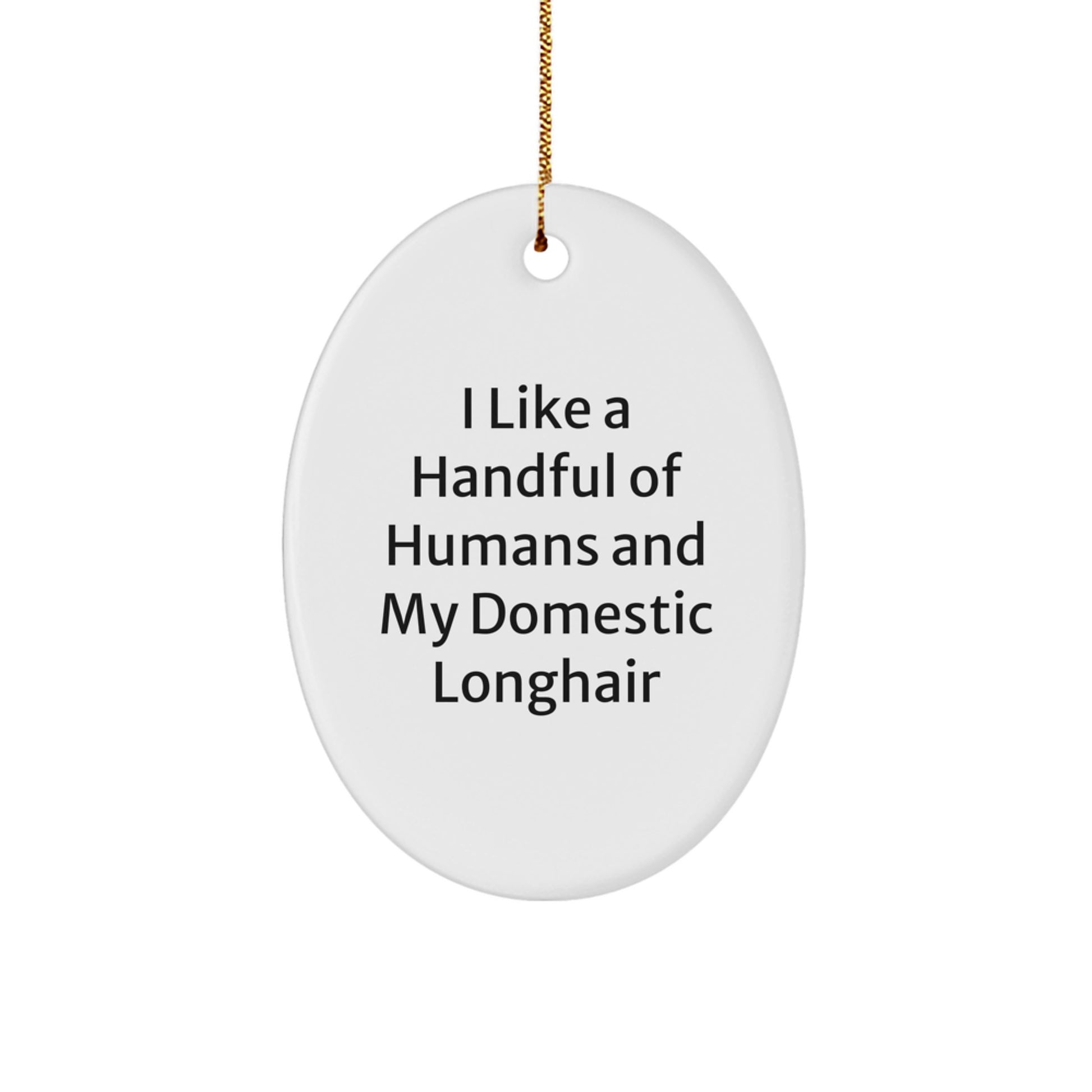 Domestic Longhair Cat Lover Gifts, Funny Quote Oval Ornament, Christmas Unique Gifts for Women, Men, Friends, Family - Image 1