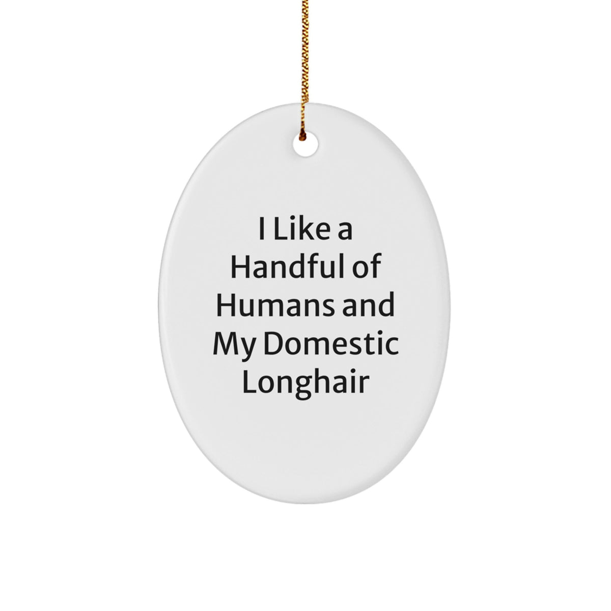 Domestic Longhair Cat Lover Gifts, Funny Quote Oval Ornament, Christmas Unique Gifts for Women, Men, Friends, Family - Image 1