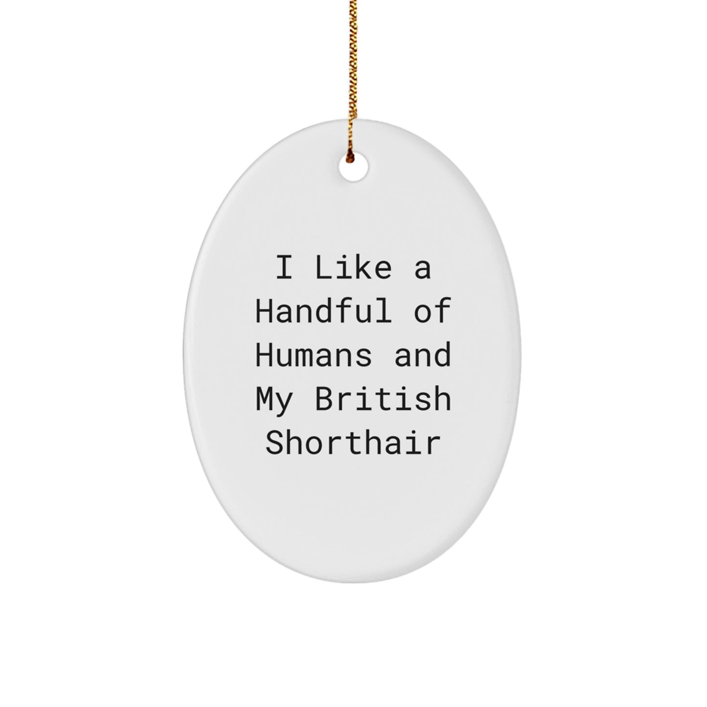 British Shorthair Cat Oval Ornament Gifts from Men or Women Friends and Family for Cat Lovers Christmas Unique Ornaments - Image 1