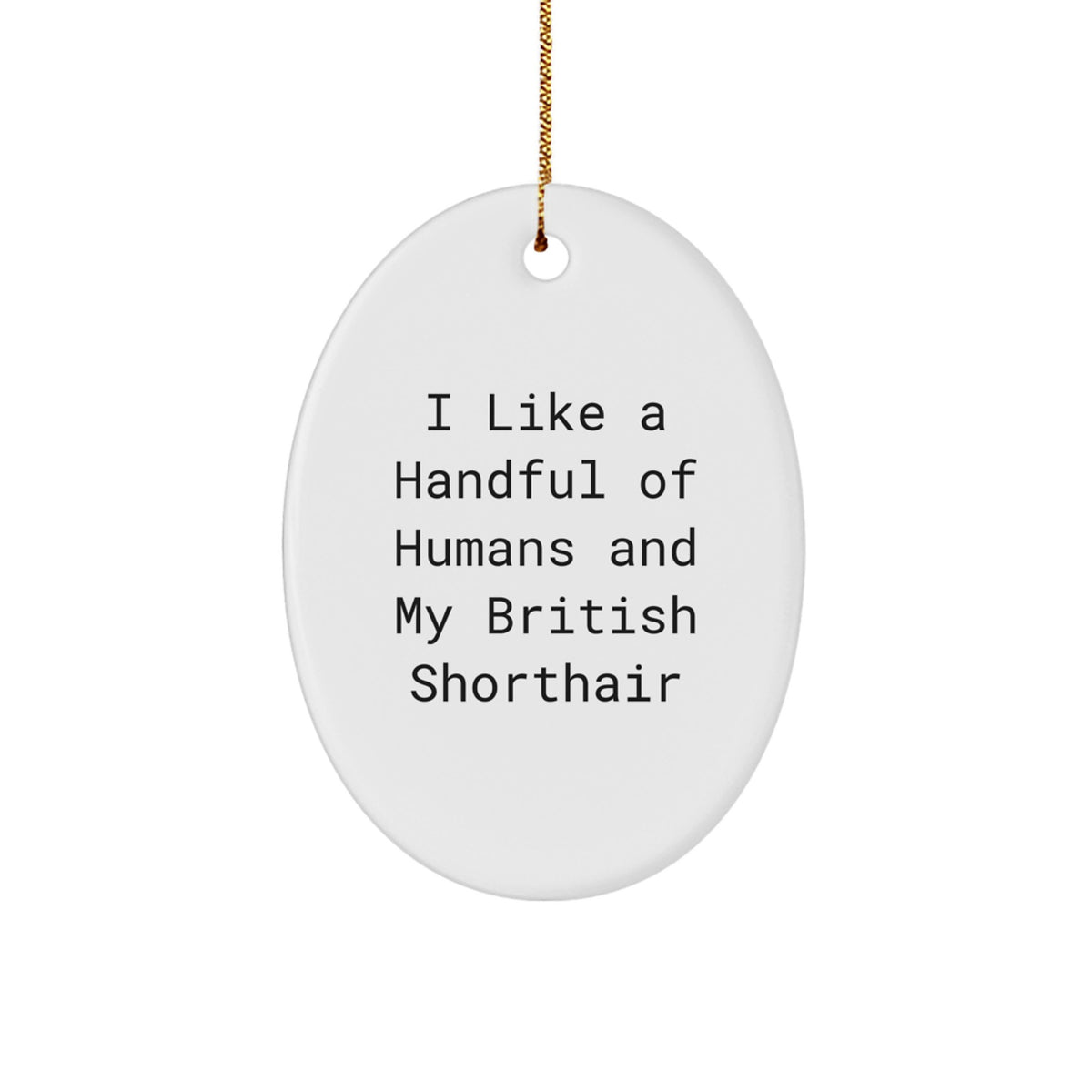 British Shorthair Cat Oval Ornament Gifts from Men or Women Friends and Family for Cat Lovers Christmas Unique Ornaments - Image 1