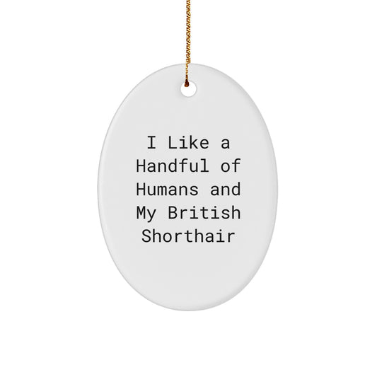 British Shorthair Cat Oval Ornament Gifts from Men or Women Friends and Family for Cat Lovers Christmas Unique Ornaments - Image 1