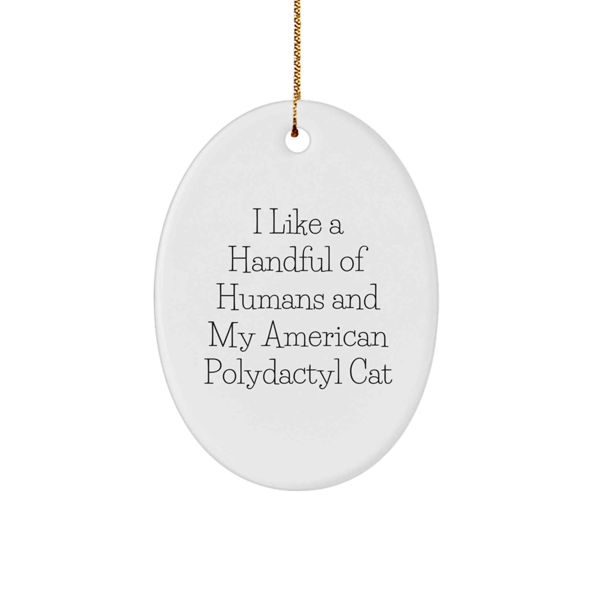 Gifts from Men to Women, Funny American Polydactyl Cat Christmas Unique Gifts, Oval Ornament - Image 1