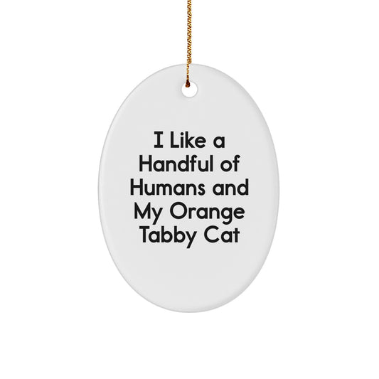 Funny Orange Tabby Cat Oval Ornament Gifts from Friends and Family for Christmas - Image 1