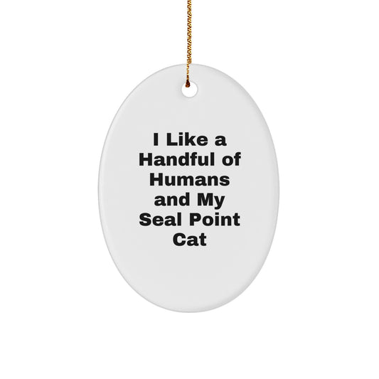 Funny Seal Point Cat Oval Ornament Gifts from Men for Christmas Unique - Image 1