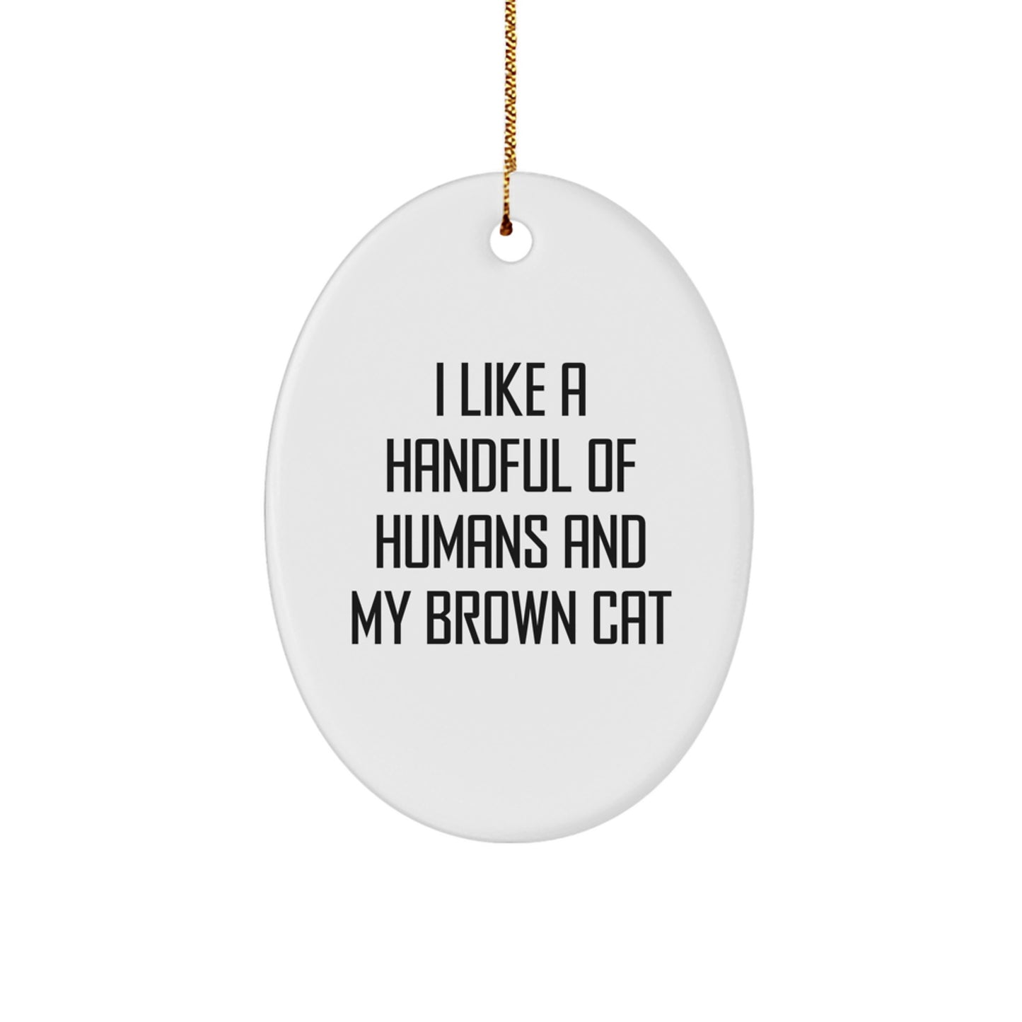 Funny Brown Cat Lover Gifts From Men to Friends, Brown Cat Oval Ornament for Christmas Unique Gifts - Image 1