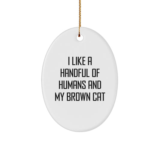 Funny Brown Cat Lover Gifts From Men to Friends, Brown Cat Oval Ornament for Christmas Unique Gifts - Image 1