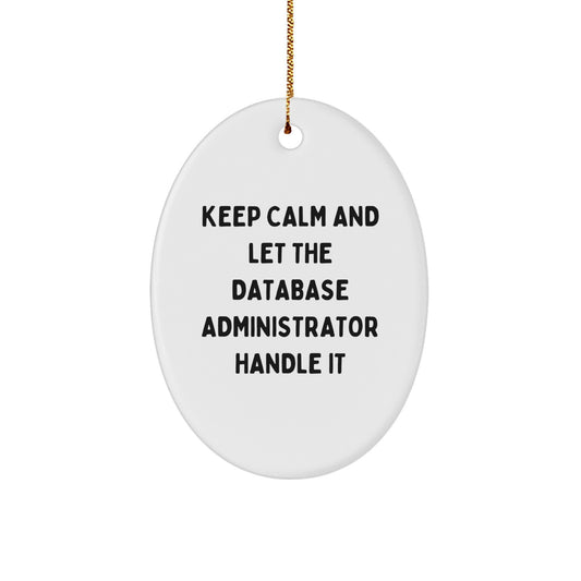 Funny Database Administrator Oval Ornament Gifts from Friends for Men Christmas Unique Gifts - Image 1