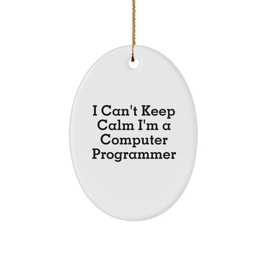 Funny Computer Programmer Oval Ornament for Men, Gifts from Family, Unique Christmas Unique Gifts for Computer Programmer, I Can't Keep Calm I'm A Computer Programmer - Image 1