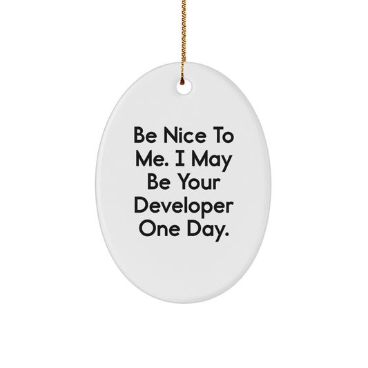 Funny Developer Oval Ornament Gifts from Friends for Men, 'Be Nice To Me. I May Be Your Developer One Day.' Christmas Unique Gifts - Image 1