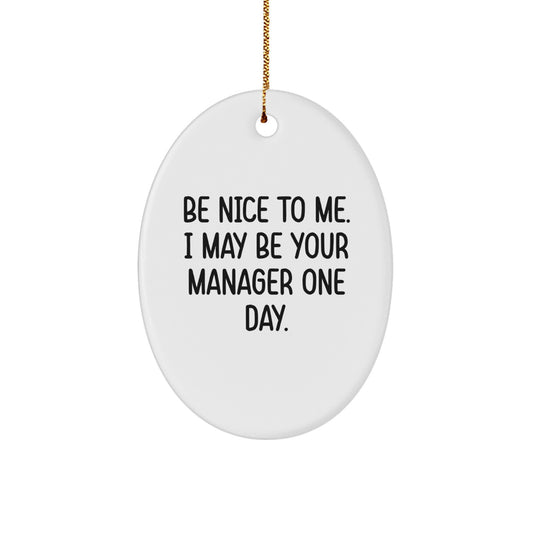 Funny Oval Ornament Gifts from Men for Manager - Be Nice To Me, I May Be Your Manager One Day, Christmas Unique Gifts - Image 1