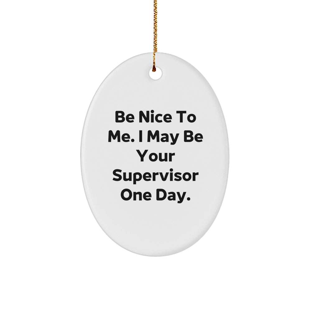 Funny Supervisor Oval Ornament Gifts from Coworkers for Supervisor Men Christmas Unique Gifts - Image 1