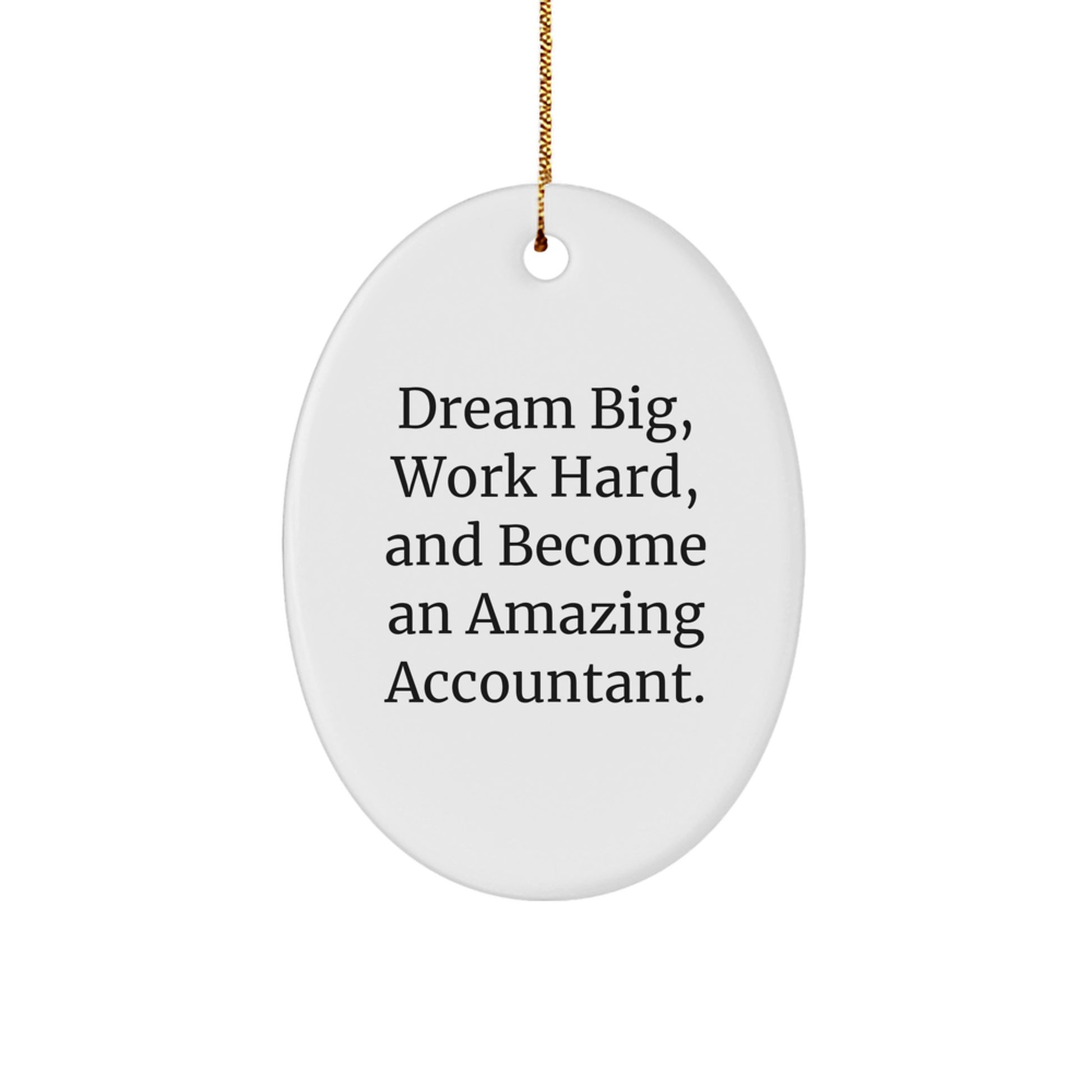 Funny Accountant Gifts for Men, Oval Ornament with 'Dream Big, Work Hard, And Become An Amazing Accountant' Quote, Christmas Unique Gifts from Friends to Family - Image 1